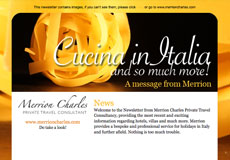 Newsletter Visual