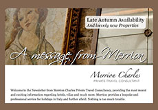 Newsletter Visual