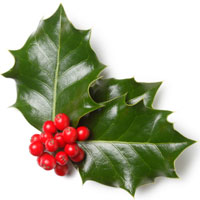 Happy Christmas