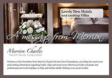 Newsletter Visual
