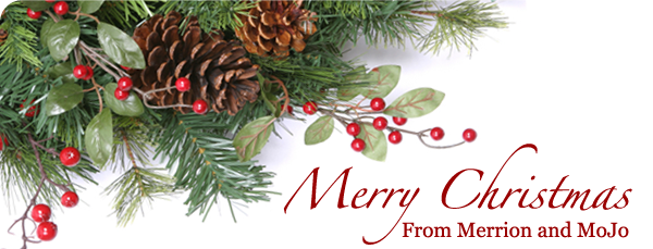 A Message from Merrion